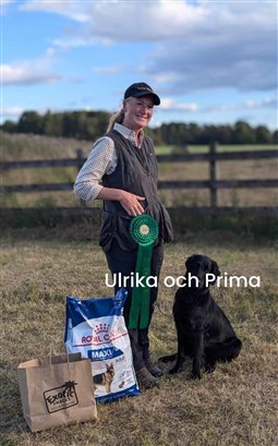 Ulrika o Prima 5a FM Ökl